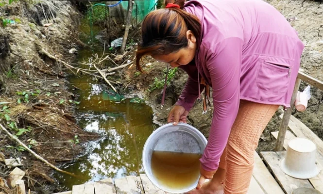 Ảnh minh họa thực trạng nước nhiễm phèn ở Cà Mau